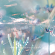 Illustration for article titled Wildlife photos that blur the line between reality and fantasy